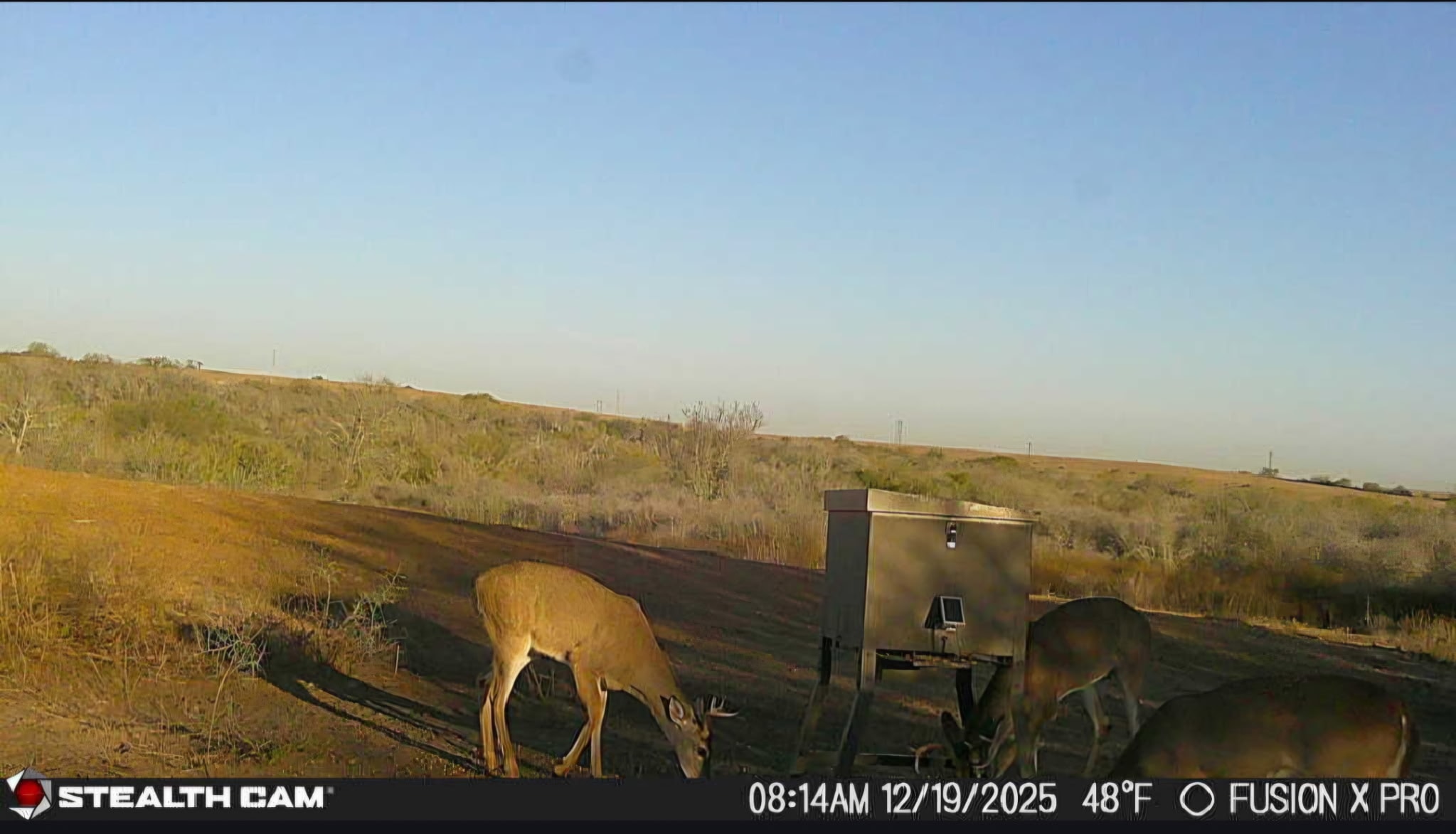 56+ Acre Hunting Property